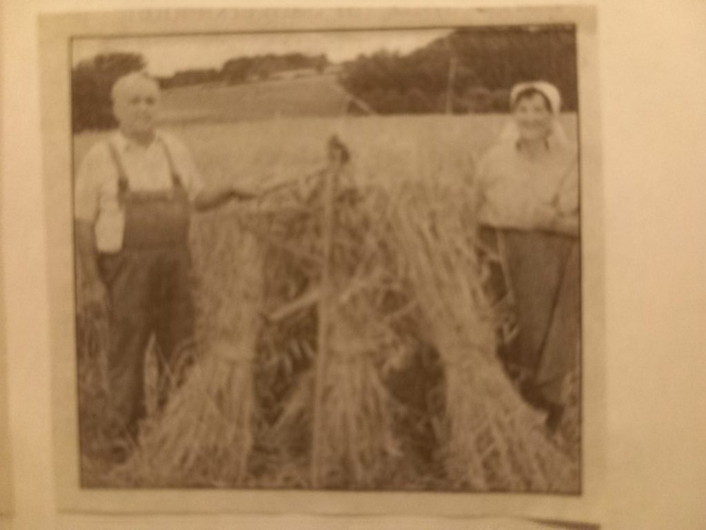 2006-Ernte vor 60 Jahren-1