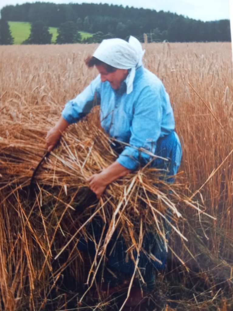 2006-Ernte vor 60 Jahren-4