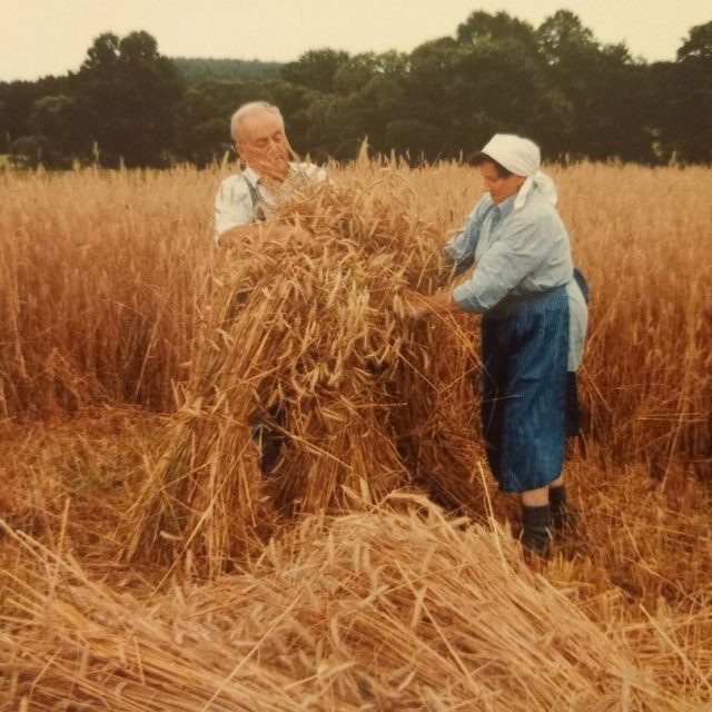 2006-Ernte vor 60 Jahren-2