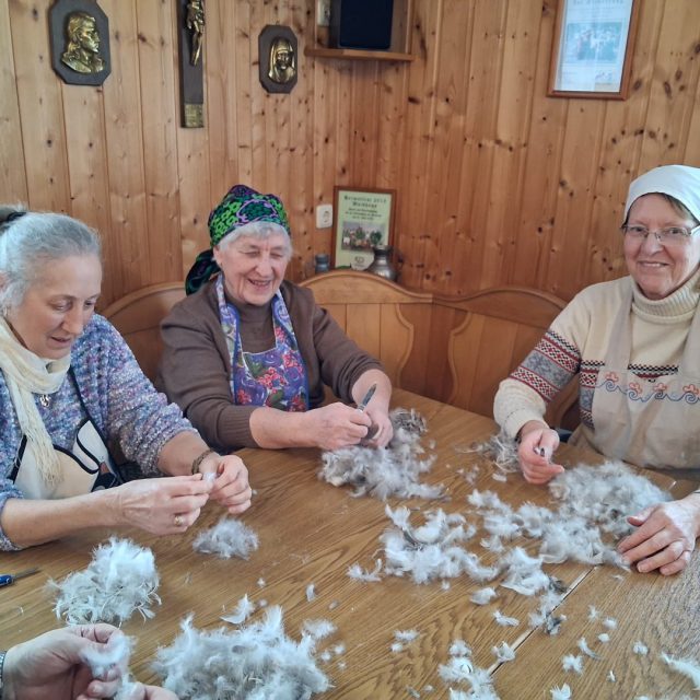 2026-Nostalgienachmittag-3