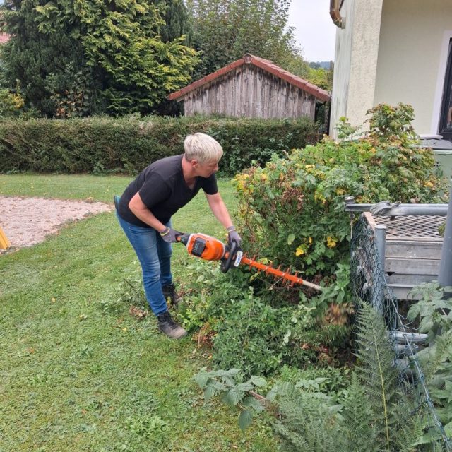 2026-Renovierung-4