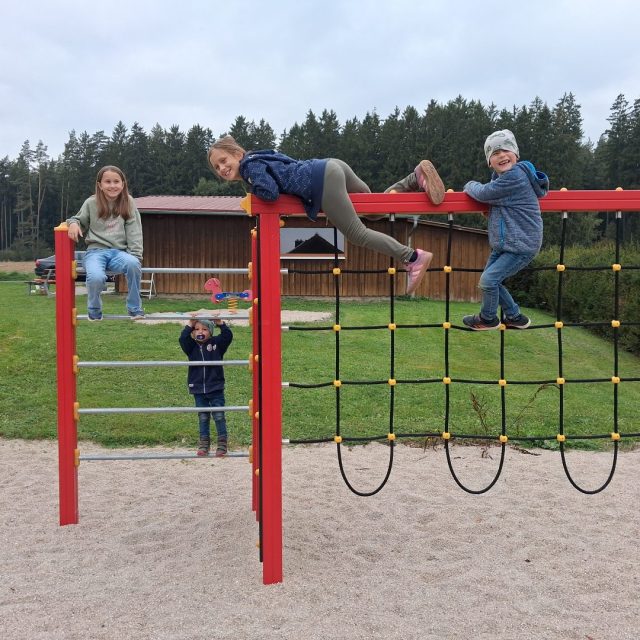 2026-Renovierung-8